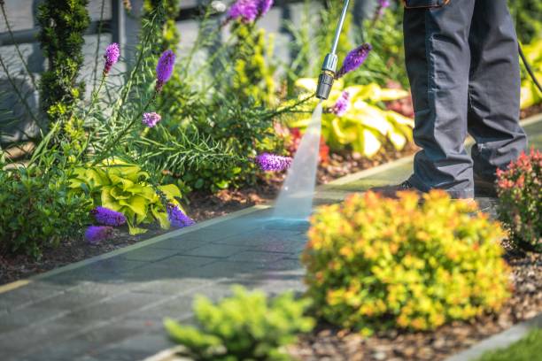 Best Patio and Deck Pressure Washing  in Oak Ridge North, TX