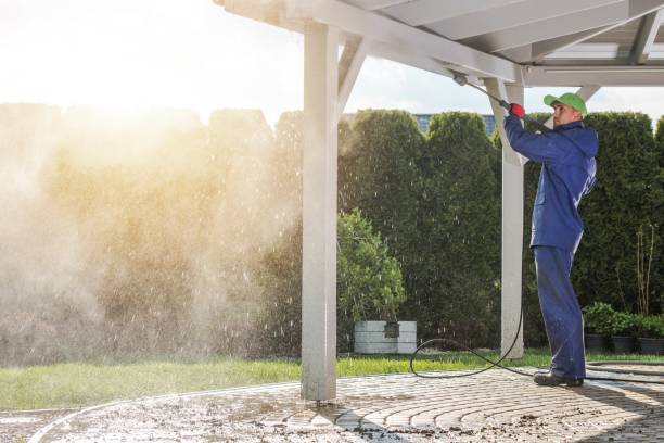 Best Roof Washing  in Oak Ridge North, TX